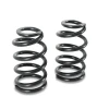 Detroit Speed Coilover Springs - Front - 575 lbs (1970 - 1988 VARIOUS GM - SBC / LS) 031133PDS