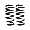 Detroit Speed Rear 2" Drop Springs (1982 - 1992 Camaro & Firebird) 041814PDS