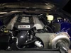 Beefcake Special Procharger Stage 1 Supercharger Kit (2015-2017 Mustang GT)