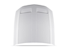 Cervinis Concept Ram Air Hood (2010 - 2012 Mustang) 1200