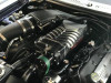 Whipple Supercharger Upgrade Kit W175AX 2.9L (2003-2004 Cobra w/Aftermarket Oval TB) WK-2110T