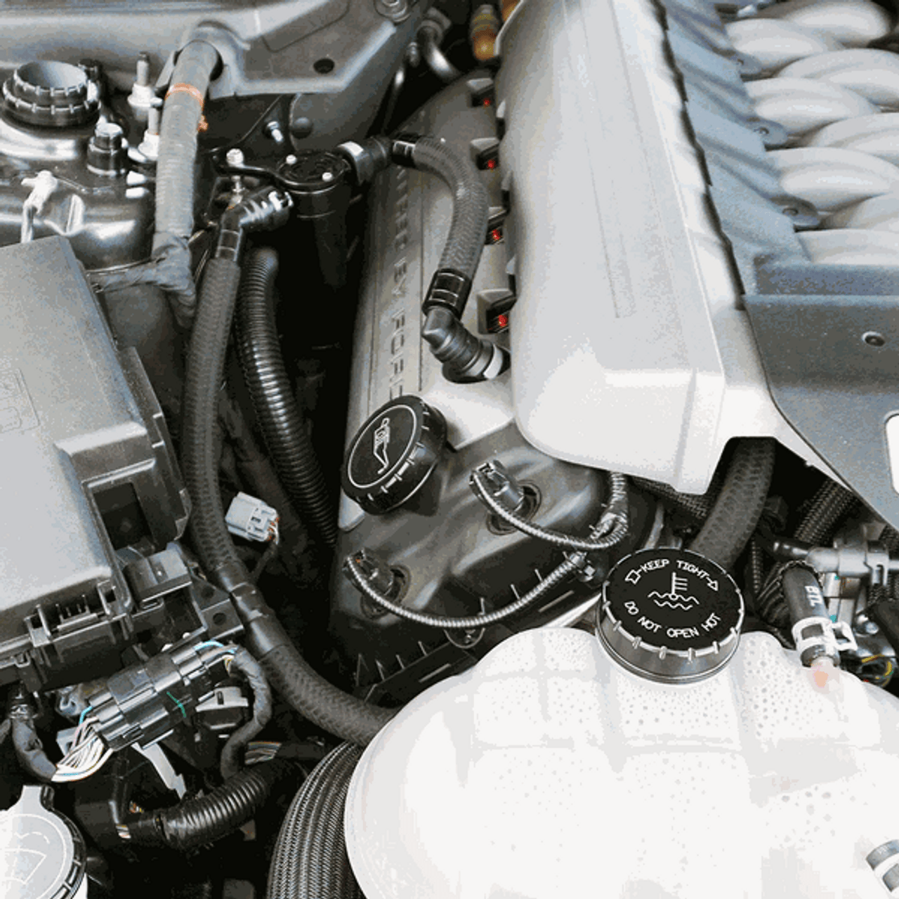 UPR Products Remote Mount/Relocation Kit for 5028-98-SC Plug N Play Black (2015-2017 Mustang GT) 5028-98-1-RM