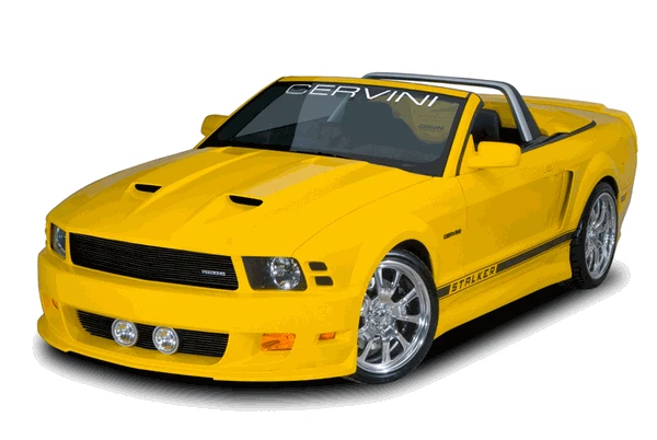 Cervinis Stalker Front Bumper & Hood Kit (2005 - 2009 Mustang) 8035