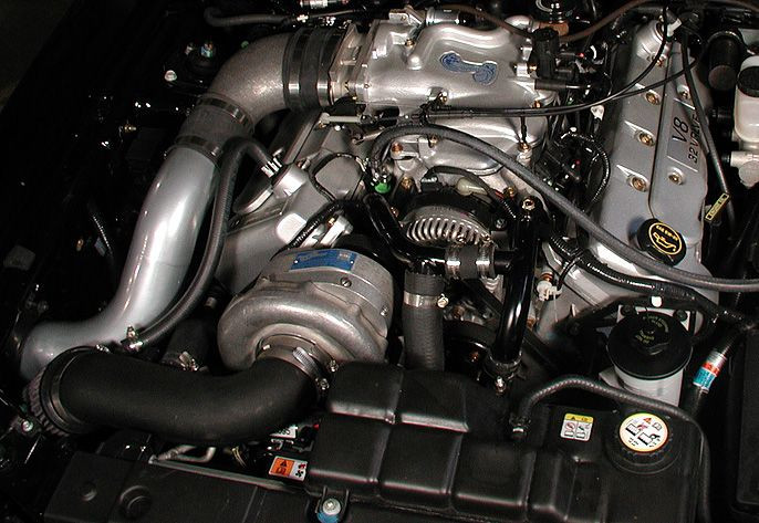 ProCharger P-1SC high output system installed on 4.6 4V Mustang Cobra with intercooler