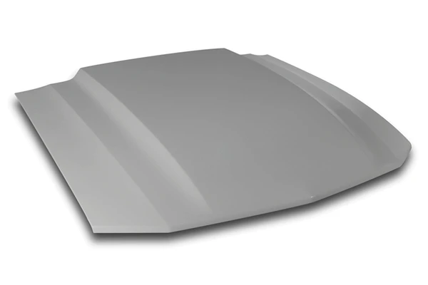 Cervinis Cobra R Hood (2005 - 2009 Mustang) 1207