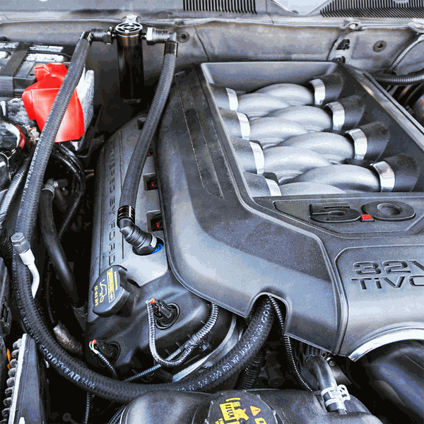 UPR Products Oil Catch Can Plug-N-Play Firewall Mount Black (2011-2014 Mustang GT) 5028-116-1