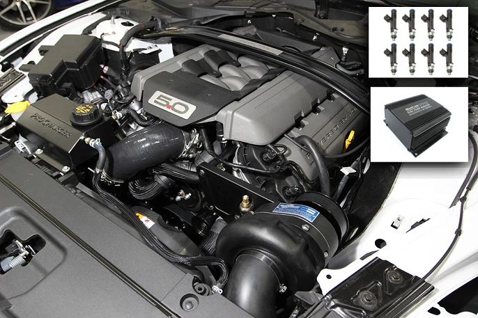 Beefcake Special Procharger Stage 2 & 3 Supercharger Kit (2015 - 2017 Mustang GT)