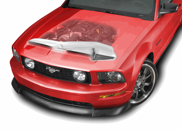 Cervinis Ram Air Kit - Hood 1176 (2005 - 09 Mustang) 8029