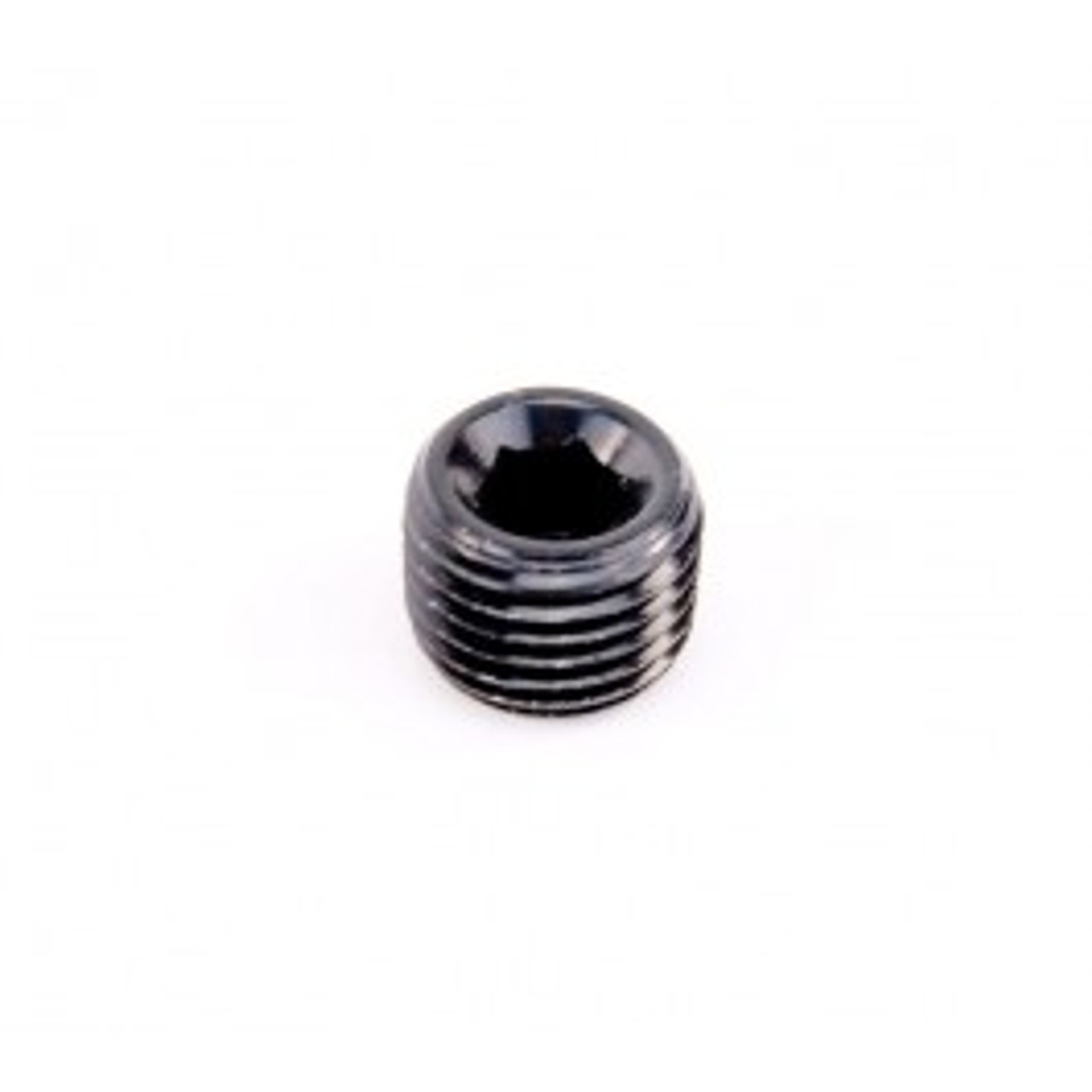 Nitrous Outlet 1/4" NPT Hex Plug Black 00-01003