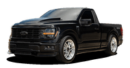 F-150 Lowering Kits