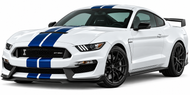 2015-2020 Shelby Mustang