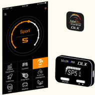 Throttle Body Controllers