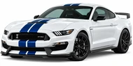 2015-2020 Shelby GT350
