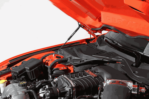 Cervinis Hood Struts (2015-2023 Mustang) 7301