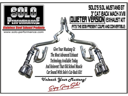 Solo Catback XVII Exhaust System Black (2018-2023 Mustang GT) 993193BK
