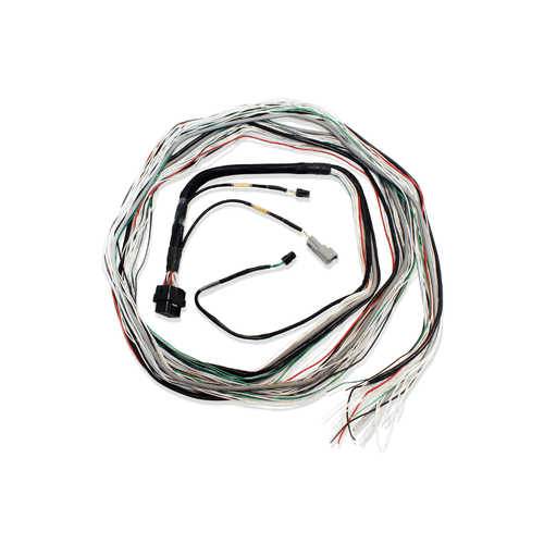 FuelTech FT600 unterminated wiring harness 20ft for custom ECU installation