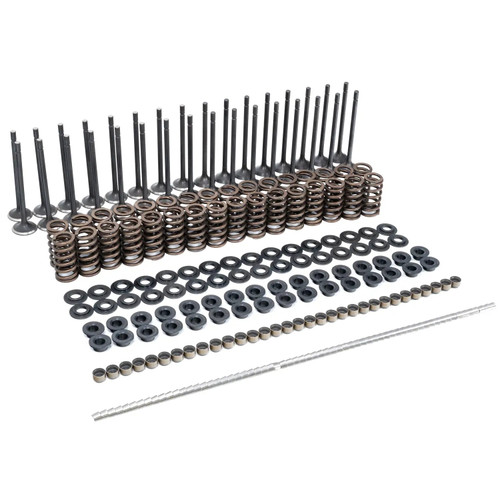PPE Power Valve and Conical Spring Kit (2001 - 2016 GM 6.6L Duramax) 110090080