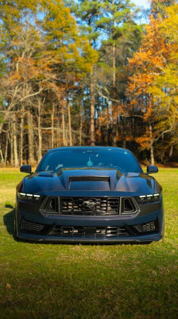 MAZ Terminator Hood - Double Sided Carbon (2024 - 2026 Mustang) MAZ-24-TRMDS