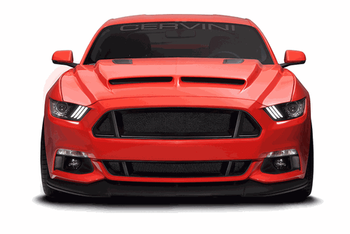 Cervinis C-Series Lower Grille (2015 - 2017 Mustang) 4445R-MB