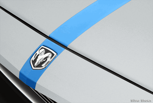 Cervinis Shaker Hood Stripes (2008 - 2010 Challenger) 7247