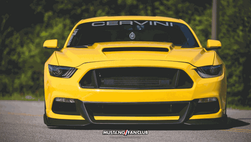 Cervinis Stalker Front End Conversion (2015 - 2017 Mustang) 4465