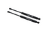 Cervinis Hood Strut (2005 - 2014 Mustang) 7300
