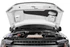 Cervinis Stalker Hood (2015 - 2020 F150) 1239