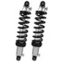 Aldan American Front Coilover Kit (1992-1995 Viper) G1SBF2