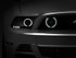 Raxiom 13-14 Ford Mustang GT CCFL Halo Fog Lights (Smoked) - 49177 Photo - Primary