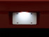Raxiom 08-14 Dodge Challenger Axial Series LED License Plate Lamp - CH7126 Photo - Close Up