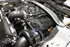 ProCharger P-1SC-1 tuner supercharger kit for Shelby GT350 engine bay setup