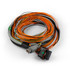 FuelTech input expander harness 10ft installed in performance vehicle wiring system