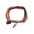FuelTech FTSPARK-6 ignition harness installed in performance engine setup