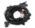 Holley EFI Coyote TI-VCT Main Harness for Holley EFI HP Smart Coils (2011 - 2017 Coyote) 558-122