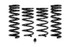 Eibach Pro-Kit (1979 - 1993 Mustang Coupe / 1994 - 2004 Mustang Coupe 6 cyl) - 3518.140