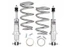 UMI Performance Viking Front Coilover Kit - Double Adjustable - 250lb Spring (1978 - 1988 G-Body / 1982 - 2003 S10 / 1982 - 2003 S15 / 1973 - 1977 A-Body) - A204-250R