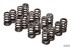 GSC Power Division Beehive Spring Set, Single (Mitsubishi Evo 8/9) - GSC5039