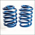 DJM Suspension Lowering Coil Springs - 5" Rear (2001 - 2006 Avalanche / Tahoe / Suburban) CS2000R-5