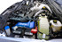 PPE Power Air-to-Water Intercooler w/ Polished Pipes - Blue Finish (2011 - 2026 Super Duty 6.7L) 315045122