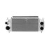 PPE Power Performance Intercooler (2017 - 2026 F150 EcoBoost / Raptor - 2.7L & 3.5L) 315043500