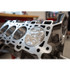Texas Speed Forged Short Block - Gen 4 - 11:1 w/ Hoops (2021 - 2025 F150 5.0L) TSP-5.0SB-GEN4-11.1-Resl-HP