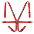 Racetech Pro International 6-Point Harness - Steel Adjusters RTPRINT
