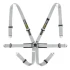 Racetech Pro International 6-Point Harness - Steel Adjusters RTPRINT
