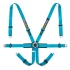 Racetech Pro International 6-Point Harness - Steel Adjusters RTPRINT