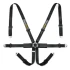 Racetech Pro International 6-Point Harness - Steel Adjusters RTPRINT