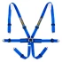 Racetech Pro International 6-Point Harness - Aluminum Adjusters RTPRINTLW