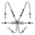Racetech Pro International 6-Point Harness - Aluminum Adjusters RTPRINTLW