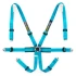 Racetech Pro International 6-Point Harness - Aluminum Adjusters RTPRINTLW