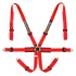 Racetech Pro International 6-Point Harness - Aluminum Adjusters RTPRINTLW