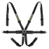 Racetech Pro International 6-Point Harness - Aluminum Adjusters RTPRINTLW
